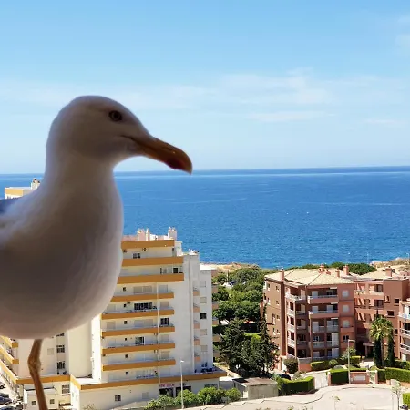 1501 - Clube Praia Mar Apartment